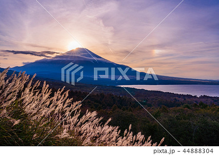 （山梨県）山中湖パノラマ台から、秋の富士山 44888304