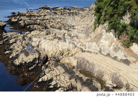 神奈川県三浦半島の荒崎海岸の造形美 44888403