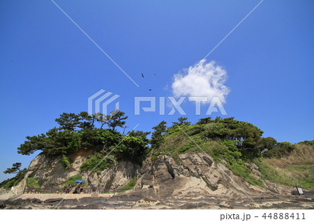 神奈川県三浦半島の荒崎海岸の造形美 44888411