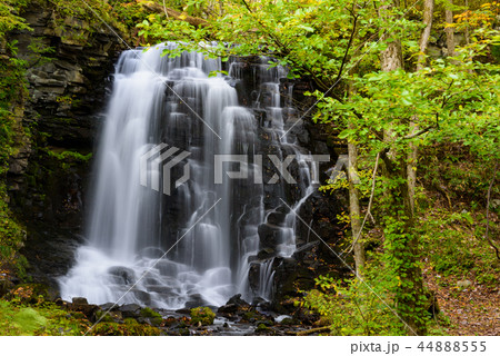 錦見の滝 錦見の滝 44888555