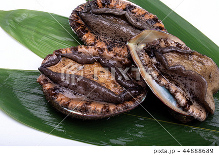 アワビ 食材 アワビ 食材 44888689