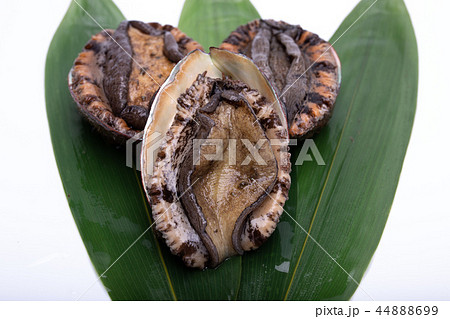 アワビ 食材 アワビ 食材 44888699