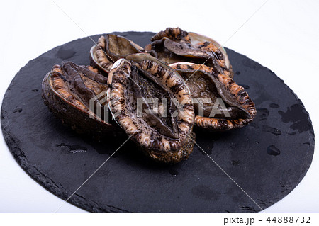 アワビ　食材 44888732