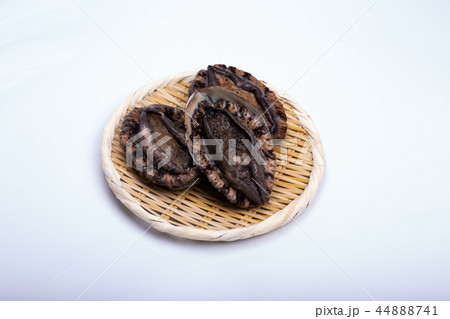 アワビ　食材 44888741
