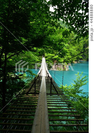 静岡県川根本町　寸又峡の夢の吊橋 44888880