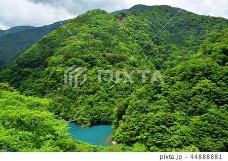 静岡県川根本町　寸又峡の夢の吊橋 44888881