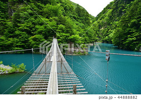 静岡県川根本町　寸又峡の夢の吊橋 44888882