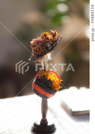 プチハット プチハット 44889159