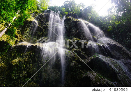 Tumalog Falls(ツマログ滝)　オスロブ　セブ　フィリピン 44889596