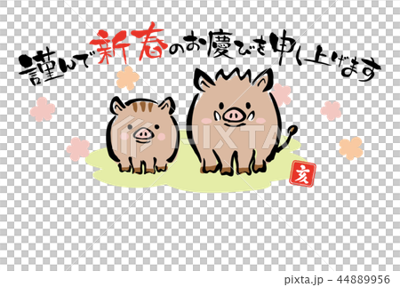 New Year's card template of Year's boar of 2019 44889956