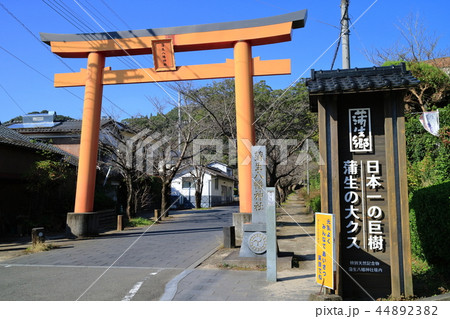 蒲生八幡神社 蒲生八幡神社 44892382