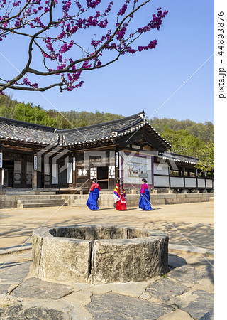 龍仁市 韓国 民俗村 44893876