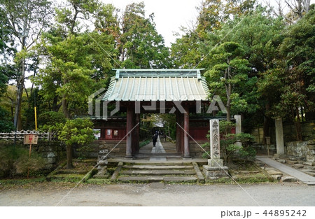 鎌倉　 寿福寺　Jyufukuji-temple 44895242