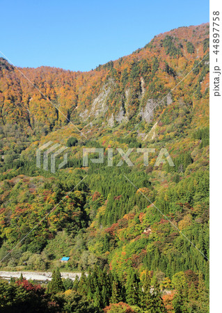 秋山郷の秋 布岩遠望 44897758