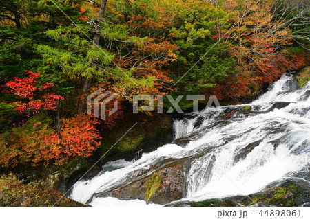 10月　日光138竜頭ノ滝･紅葉 44898061