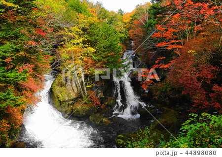 10月　日光119竜頭ノ滝･紅葉 44898080