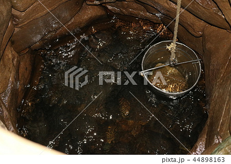 姿見の井戸 44898163