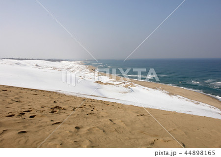 鳥取　四季の散歩　冬　鳥取砂丘 44898165