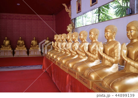 Buddha is the representative of the Buddha  44899139