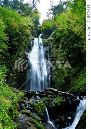 初秋の抱返り渓谷　回顧の滝の情景（縦） 44899413
