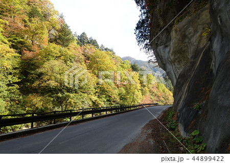 日本百景：奥裾花渓谷　　長野市鬼無里 44899422