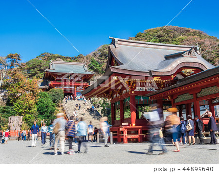 鎌倉　鶴岡八幡宮　本宮と舞殿 44899640