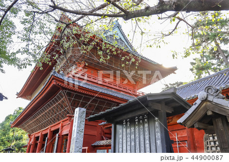 【東京都港区】重要文化財 増上寺・三解脱門 【東京都港区】重要文化財 増上寺・三解脱門 44900087