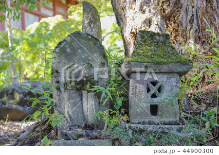 【山梨県】甲斐善光寺・定額山 浄智院 善光寺　境内の石仏 44900300
