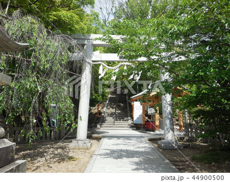 上新田天神社 44900500