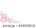 Flower background card, cherry blossom Pink Sakura 44900810