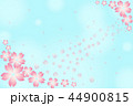 Flower background card, cherry blossom Pink Sakura 44900815
