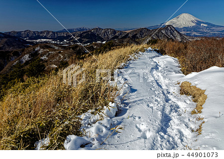 箱根・明神ヶ岳への登りから見る富士山 箱根・明神ヶ岳への登りから見る富士山 44901073
