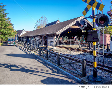 【静岡県伊豆市】日本唯一の15インチゲージ鉄道「ロムニー駅」【修善寺虹の郷】 44901084