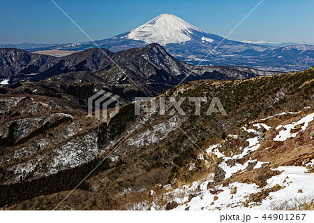 箱根・明神ヶ岳から見る金時山と富士山 44901267