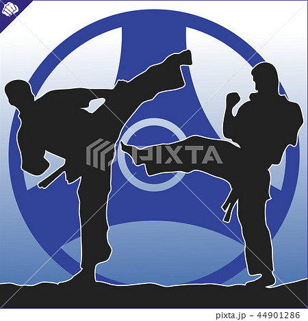 Martial arts. Karate fighter silhouette scene. 44901286