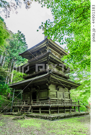 高源寺　兵庫県　丹波市 44901383