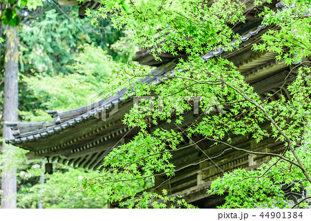 高源寺　兵庫県　丹波市 44901384