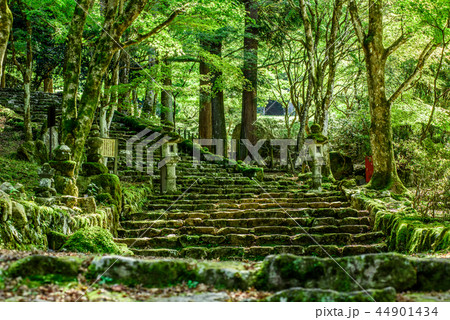 高源寺 兵庫県 丹波市 高源寺 兵庫県 丹波市 44901434
