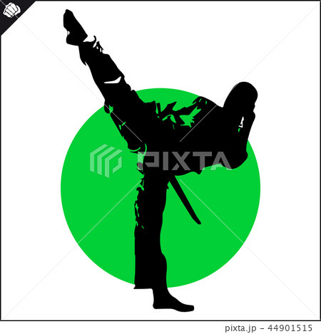 Martial arts. Karate fighter silhouette scene.  44901515