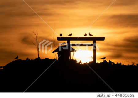 経島の夕景 経島の夕景 44901658