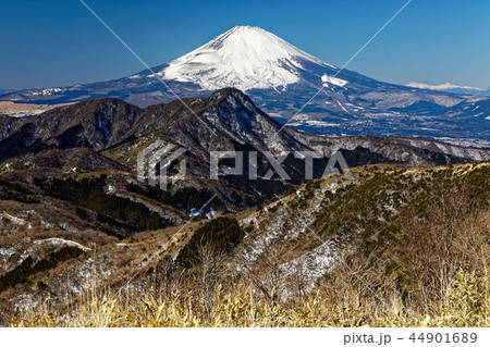 箱根・明神ヶ岳稜線から見る富士山 44901689
