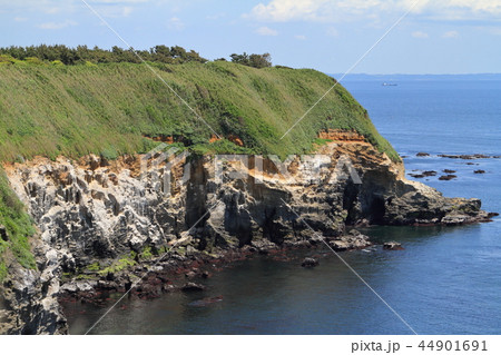 神奈川県三浦市城ケ島のウミウ展望台 44901691