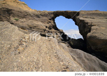 神奈川県三浦市城ケ島の馬の背同門 44901699