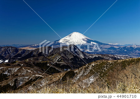 箱根・明神ヶ岳稜線から見る富士山 44901710