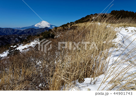 雪の箱根・明神ヶ岳稜線から眺める富士山 44901743
