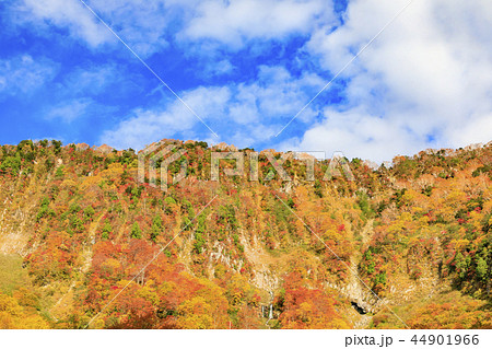 称名滝　紅葉 44901966