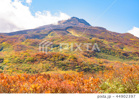 鳥海山 竜ヶ原湿原 鳥海山 竜ヶ原湿原 44902397