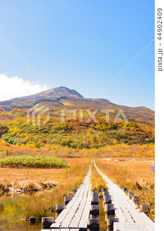 鳥海山　竜ヶ原湿原 44902409