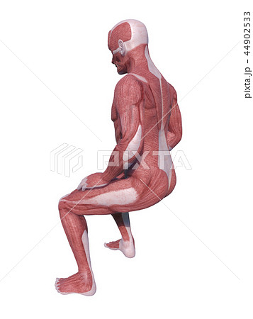 人物 筋肉マン 座るのイラスト素材