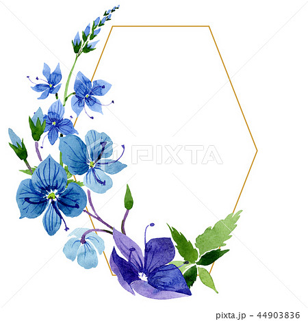 Watercolor blue Veronica flower. Floralのイラスト素材 [44903836